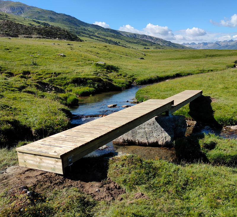 Passeres i passarel·les de fusta